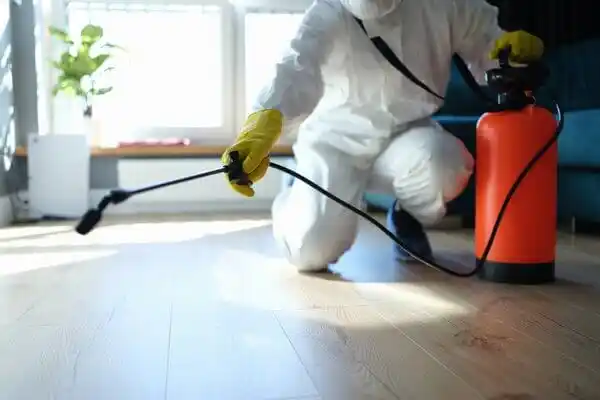 pest control Edmonton